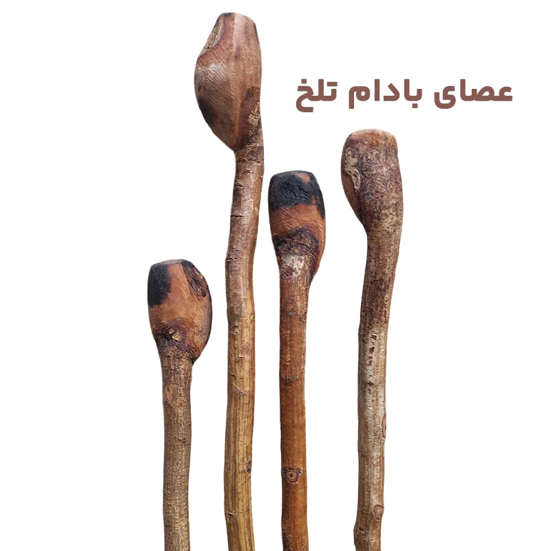 عصای بادام تلخ کد 640