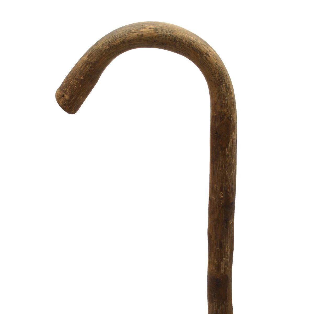 عصای بلوط وحشی ایسلا کد 304 - Image 1