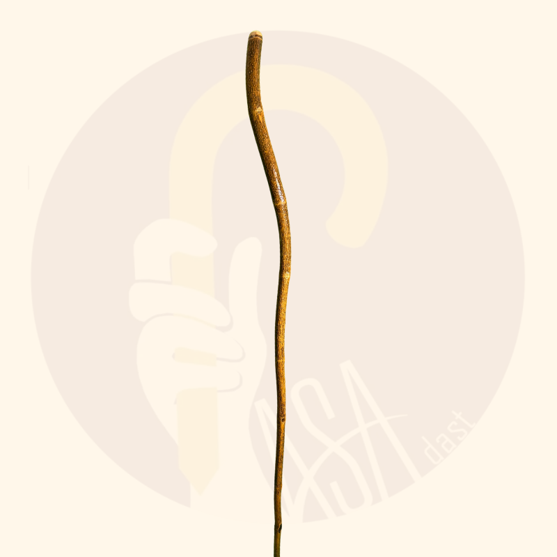 عصای چوب کهن کد SA0034