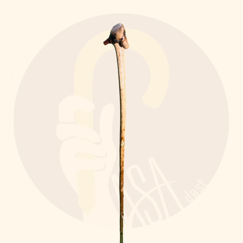 عصای سپیدار کد SA0042