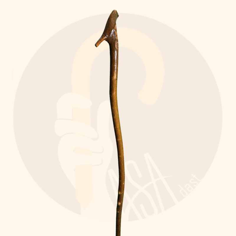 عصای کوهسار کد SA0043